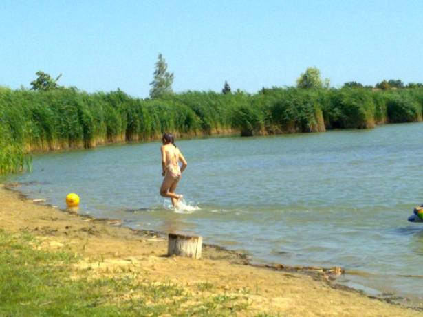 20120719524