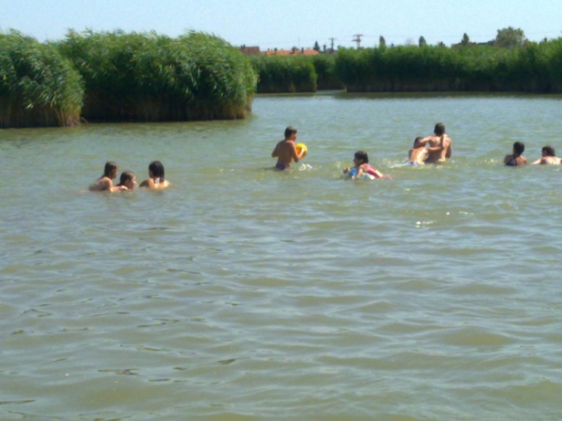 20120719531